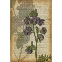 Marmont Hill Fucshia Flowers i slika Print na omotanom platnu