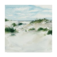 Zaštitni znak likovne umjetnosti 'bijeli pijesak I' platnena Umjetnost Megan Meagher