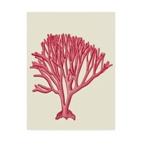 Zaštitni znak likovne umjetnosti 'crveni koralji c' platno Art Fab Funky