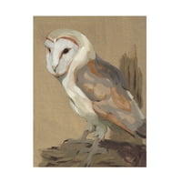 Jacob Green 'common Barn Owl Portrait II' platno Umjetnost