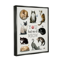 Stupell Imao Si Me U Meow Cat Pet Životinje I Insekti Slikarstvo Crni Plutač Uokvireni Art Print Wall Art